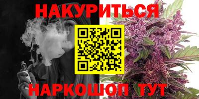 индика Лесосибирск