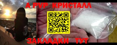 индика Лесосибирск